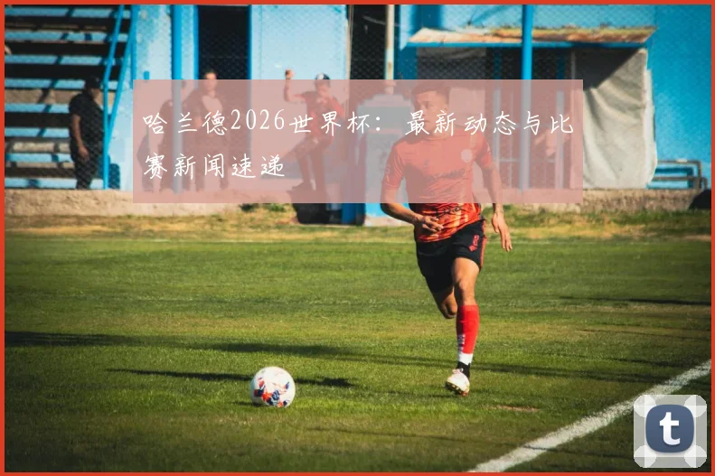 哈兰德2026世界杯：最新动态与比赛新闻速递