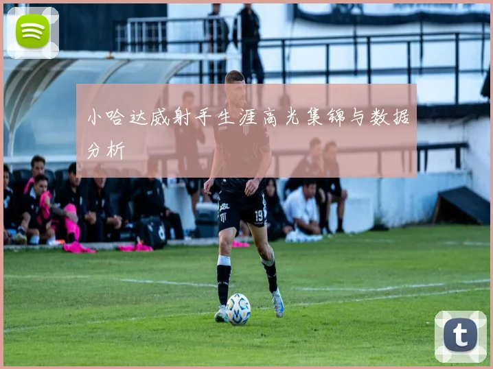 小哈达威射手生涯高光集锦与数据分析
