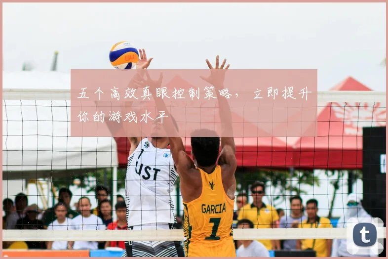 五个高效真眼控制策略，立即提升你的游戏水平