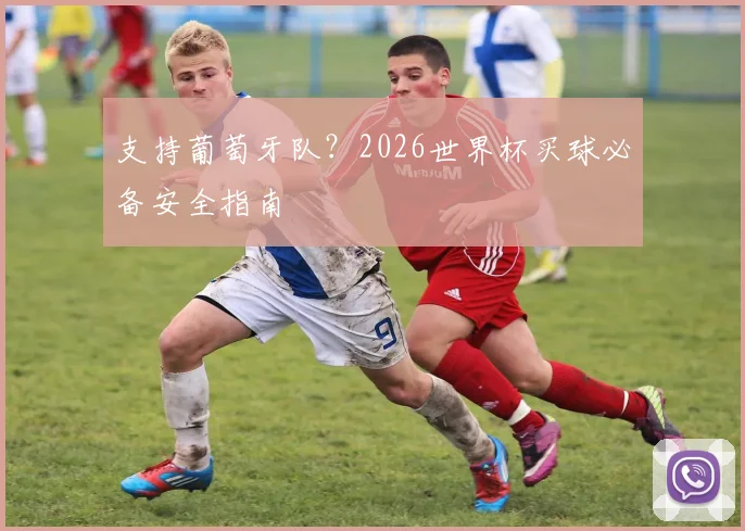 支持葡萄牙队？2026世界杯买球必备安全指南